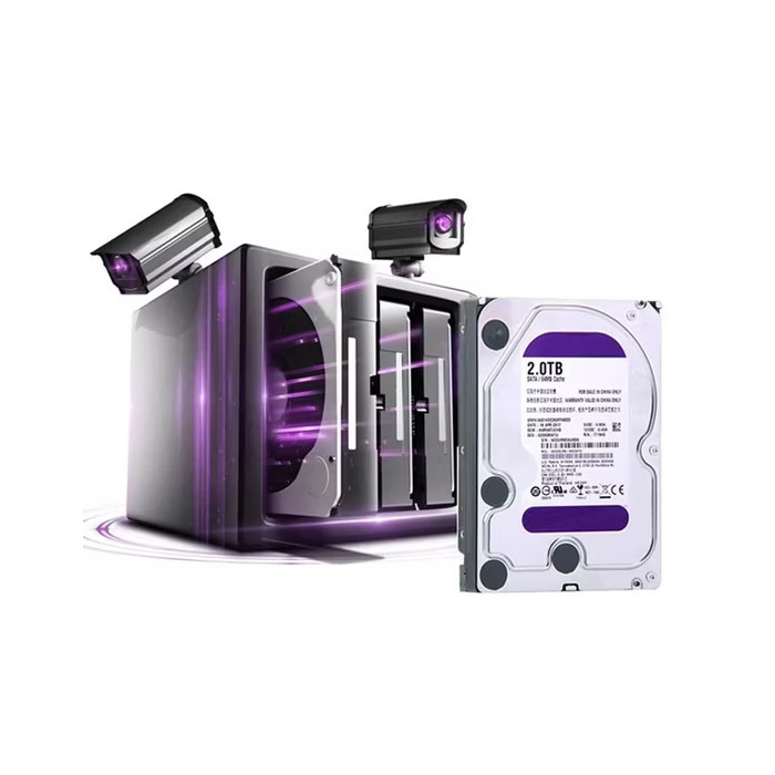 Surveillance Purple 3