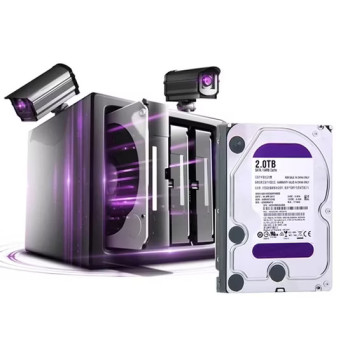 Surveillance Purple 3